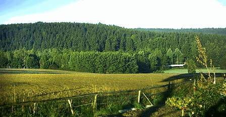 Blick auf das mittlere G&ouml;ltzschtal bei Schneidenbach (Foto: Eckner)